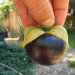 Load image into Gallery viewer, Tomatilla, 'De Milpa' – photo 2
