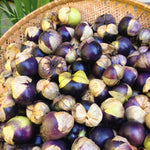 Load image into Gallery viewer, Tomatilla, 'De Milpa'
