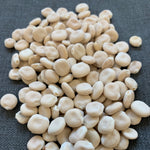 Load image into Gallery viewer, A pile of beige lupine seeds on a dark background.
