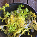Load image into Gallery viewer, Curly Endive, 'Bellesque' – photo 2
