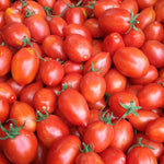 Load image into Gallery viewer, Tomato, 'Fiaschetto di Manduria'
