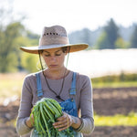 Load image into Gallery viewer, Broccoli, 'Broccolo Fiolaro di Creazzo' – photo 4
