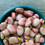 Load image into Gallery viewer, Fava, 'Karmazyn'
