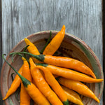 Load image into Gallery viewer, A bowl containing fresh 'Criolla Sella' hot peppers with a golden orange color, placed on a wooden surface.
