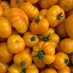 Load image into Gallery viewer, Tomato, 'Afghan'
