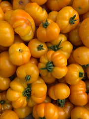 Load image into Gallery viewer, Tomato, 'Afghan'
