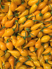 Load image into Gallery viewer, Hot Pepper, 'Biquinho Yellow' – photo 2
