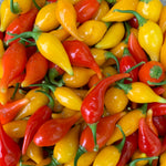 Load image into Gallery viewer, Hot Pepper, 'Biquinho Yellow' – photo 4
