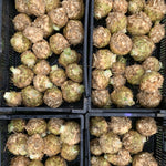 Load image into Gallery viewer, Celeriac, 'Monarch' – photo 2
