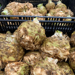 Load image into Gallery viewer, Celeriac, 'Monarch'
