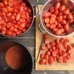 Load image into Gallery viewer, Tomato, 'Fiaschetto di Manduria' – photo 3

