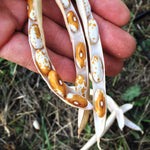 Load image into Gallery viewer, Bean, Bush Dry, 'Jacob's Gold' – photo 2
