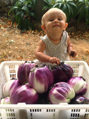 Load image into Gallery viewer, Eggplant, 'Violetta di Firenze' – photo 2

