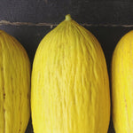 Load image into Gallery viewer, Melon, 'Giallo d'Inverno'
