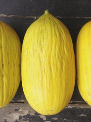 Load image into Gallery viewer, Melon, 'Giallo d'Inverno'
