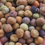 Load image into Gallery viewer, Pea, Dry/Soup, 'Roveja'
