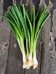 Load image into Gallery viewer, Scallion, 'Ishikura Long Winter'

