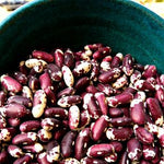 Load image into Gallery viewer, Bean, Bush Dry, 'Jacob's Cattle' – photo 2
