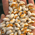 Load image into Gallery viewer, Bean, Bush Dry, 'Jacob's Gold'

