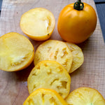 Load image into Gallery viewer, Tomato, 'Manyel' – photo 2
