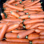 Load image into Gallery viewer, Carrot, 'Scarlet Nantes' – photo 2
