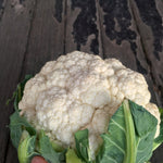 Load image into Gallery viewer, Cauliflower, 'Prestige' – photo 2
