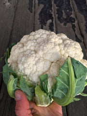 Load image into Gallery viewer, Cauliflower, 'Prestige' – photo 2
