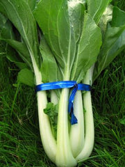 Load image into Gallery viewer, Bok Choi, 'Prize Choi' – photo 2
