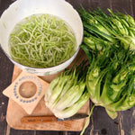 Load image into Gallery viewer, Chicory (Puntarelle di Galatina), 'Medusa' – photo 2
