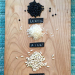 Load image into Gallery viewer, Bean, Bush Dry, 'Hungarian Rice Bean' – photo 2

