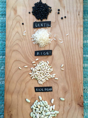 Load image into Gallery viewer, Bean, Bush Dry, 'Hungarian Rice Bean' – photo 2
