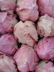 Load image into Gallery viewer, Radicchio (Rosa del Veneto), 'Rosato' – photo 2
