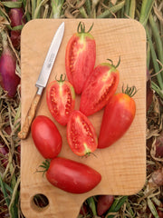 Load image into Gallery viewer, Tomato, 'Sheboygan'
