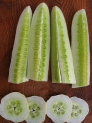 Load image into Gallery viewer, Cucumber, 'Silver Slicer'
