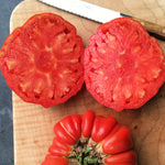 Load image into Gallery viewer, Tomato, 'Vernazza'
