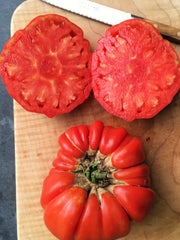 Load image into Gallery viewer, Tomato, 'Vernazza'
