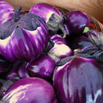 Load image into Gallery viewer, Eggplant, 'Violetta di Firenze'
