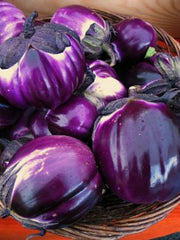 Load image into Gallery viewer, Eggplant, 'Violetta di Firenze'

