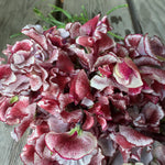 Load image into Gallery viewer, Sweet Pea, 'Wiltshire Ripple'
