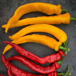 Load image into Gallery viewer, Sweet Pepper, 'Yellow Nardello' – photo 2
