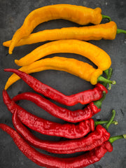 Load image into Gallery viewer, Sweet Pepper, 'Yellow Nardello' – photo 2
